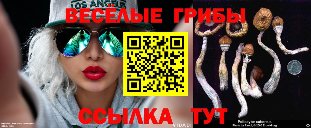 Карабулак  Псилоцибиновые грибы мицелий  Вход с VPN 